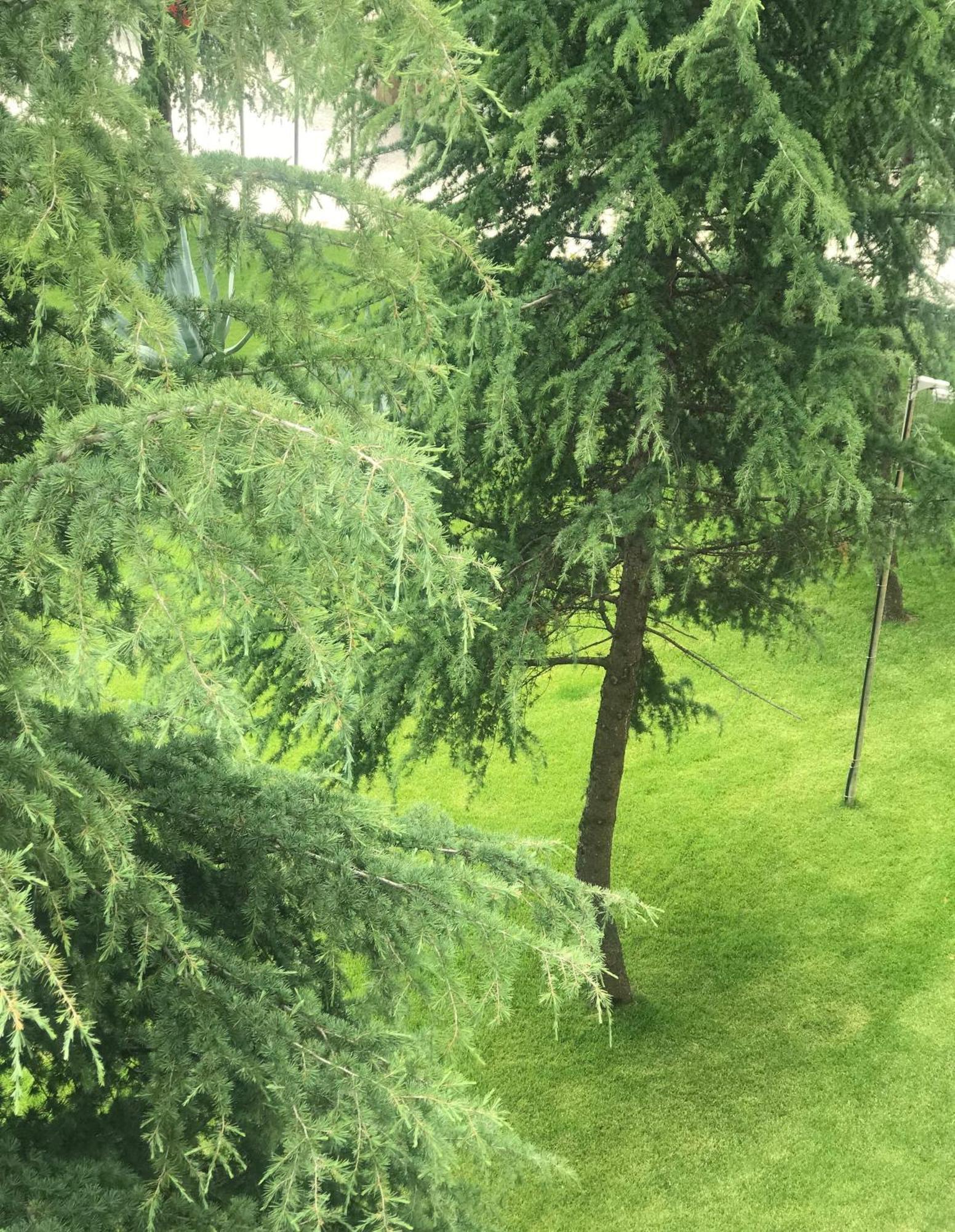 Chateau Linza Resort Tirana Kültér fotó
