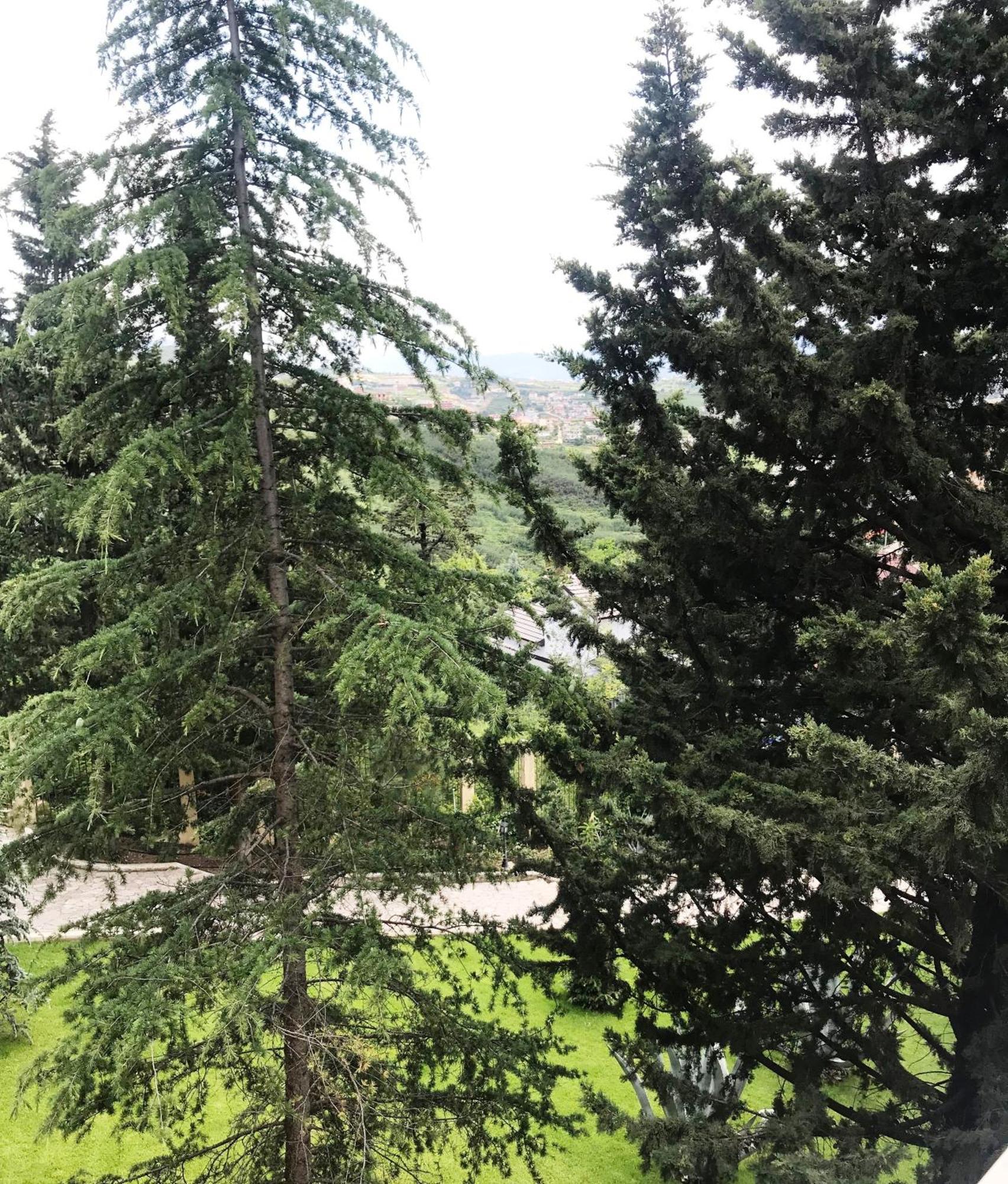 Chateau Linza Resort Tirana Kültér fotó