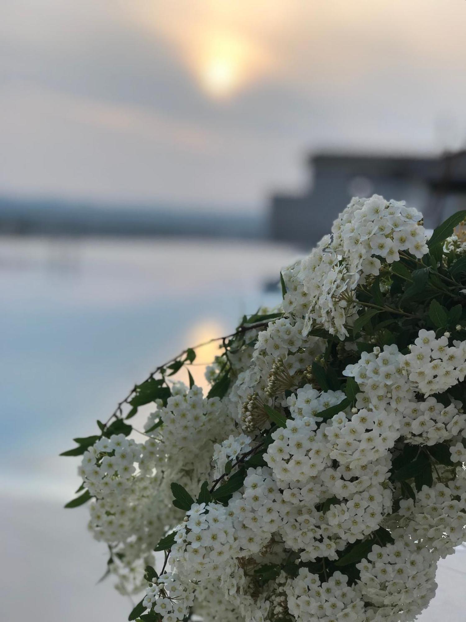 Chateau Linza Resort Tirana Kültér fotó